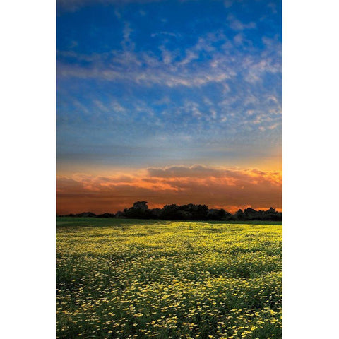 Shadows at Sunset I Black Modern Wood Framed Art Print with Double Matting by Celebrate Life Gallery