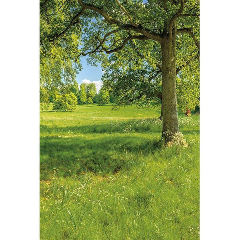 Greenest Pastures I Gold Ornate Wood Framed Art Print with Double Matting by Frank, Assaf