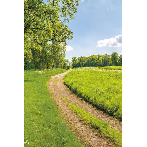 Greenest Pastures II White Modern Wood Framed Art Print by Frank, Assaf