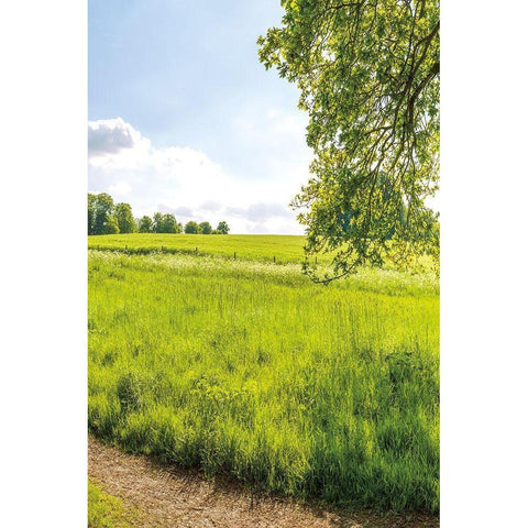 Greenest Pastures III Black Modern Wood Framed Art Print with Double Matting by Frank, Assaf