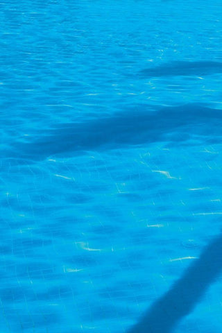 Vacationing A White Modern Wood Framed Art Print with Double Matting by Frates, Dennis