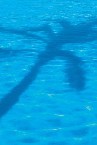 Vacationing B Black Ornate Wood Framed Art Print with Double Matting by Frates, Dennis