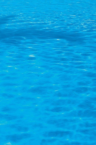 Vacationing C White Modern Wood Framed Art Print with Double Matting by Frates, Dennis