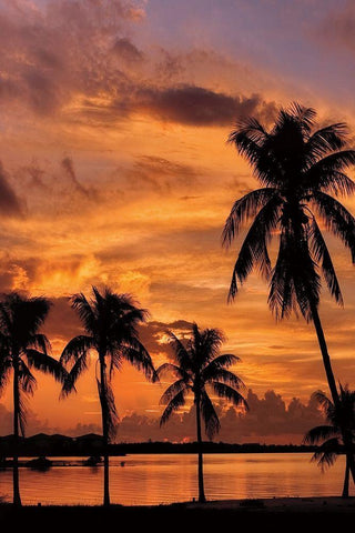 Tropical Sunsets B White Modern Wood Framed Art Print with Double Matting by Jones, Mike