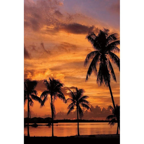 Tropical Sunsets B Black Modern Wood Framed Art Print by Jones, Mike