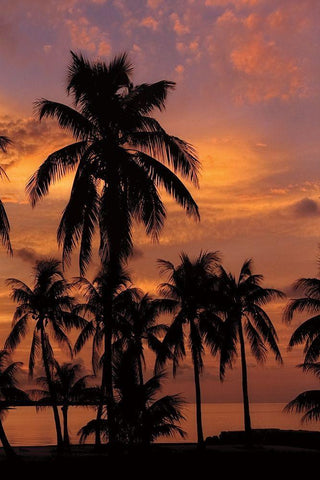 Tropical Sunsets C White Modern Wood Framed Art Print with Double Matting by Jones, Mike