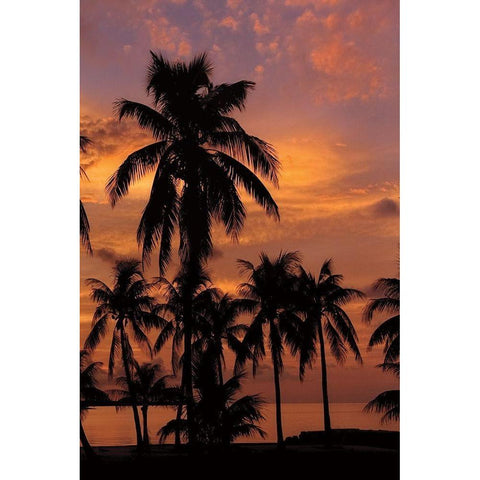 Tropical Sunsets C Black Modern Wood Framed Art Print by Jones, Mike