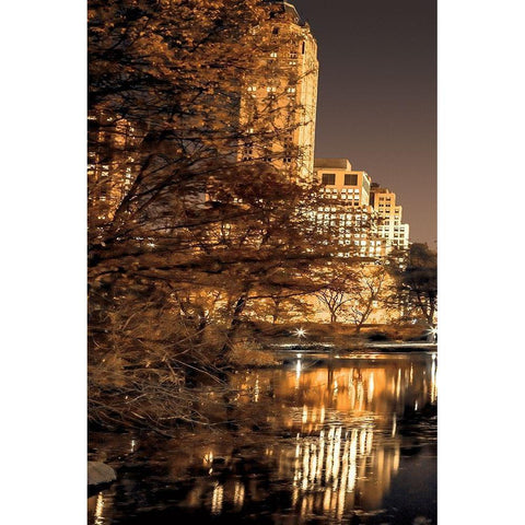 Central Park Glow I Gold Ornate Wood Framed Art Print with Double Matting by Frank, Assaf