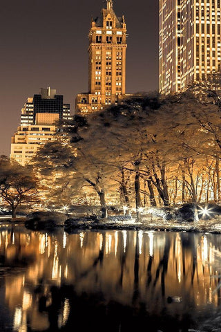 Central Park Glow II White Modern Wood Framed Art Print with Double Matting by Frank, Assaf