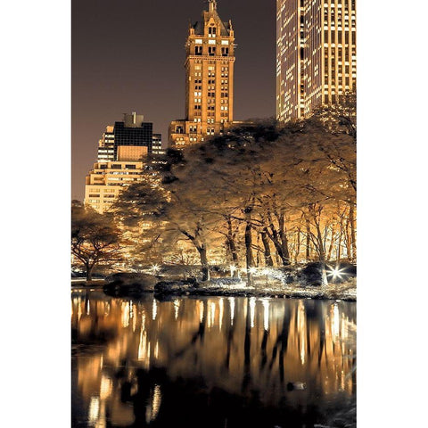 Central Park Glow II Gold Ornate Wood Framed Art Print with Double Matting by Frank, Assaf