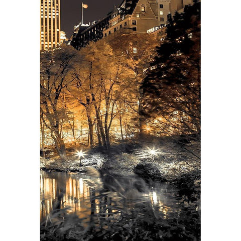 Central Park Glow III White Modern Wood Framed Art Print by Frank, Assaf