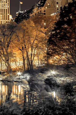 Central Park Glow III Black Ornate Wood Framed Art Print with Double Matting by Frank, Assaf