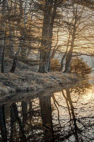 Frosty Morning I Black Ornate Wood Framed Art Print with Double Matting by Frank, Assaf