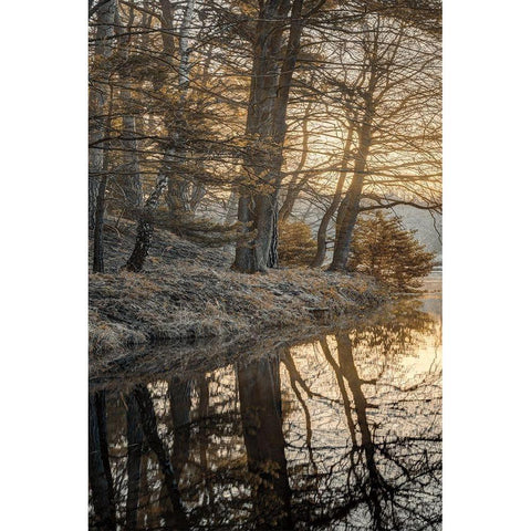 Frosty Morning I Black Modern Wood Framed Art Print with Double Matting by Frank, Assaf