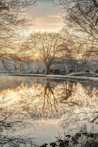 Frosty Morning II White Modern Wood Framed Art Print with Double Matting by Frank, Assaf