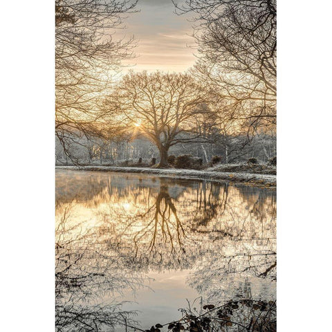 Frosty Morning II Black Modern Wood Framed Art Print with Double Matting by Frank, Assaf