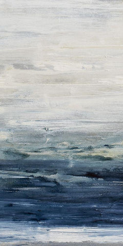 Oceania II Black Ornate Wood Framed Art Print with Double Matting by Snow, Aerial