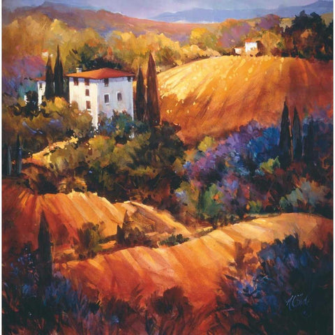 Evening Glow Tuscany White Modern Wood Framed Art Print by OToole, Nancy