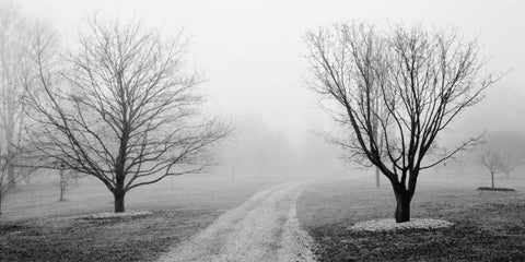 Road to Somewhere Black Ornate Wood Framed Art Print with Double Matting by Iacobellis, Michael