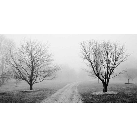 Road to Somewhere White Modern Wood Framed Art Print by Iacobellis, Michael