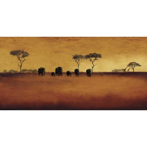 Serengeti II Black Modern Wood Framed Art Print with Double Matting by Venter, Tandi