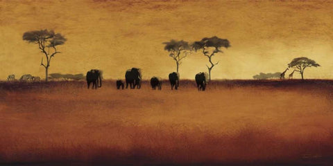 Serengeti II White Modern Wood Framed Art Print with Double Matting by Venter, Tandi