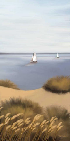 Afternoon Escape Black Ornate Wood Framed Art Print with Double Matting by Venter, Tandi