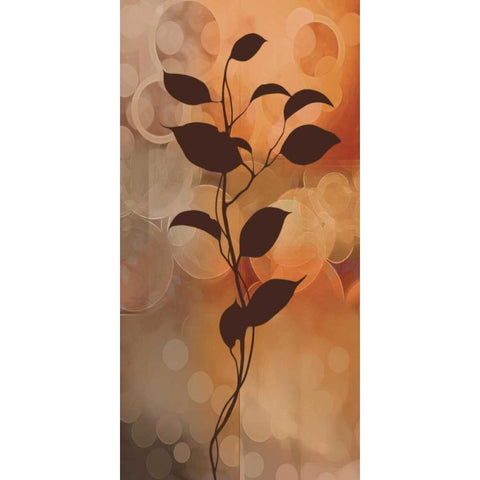 Flora II Black Modern Wood Framed Art Print with Double Matting by Aparicio, Edward