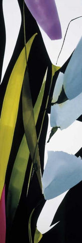 Blue Mystery II Black Ornate Wood Framed Art Print with Double Matting by Abellan, Lola