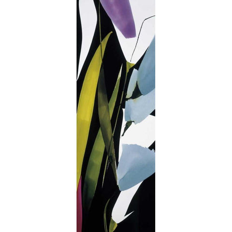 Blue Mystery II Black Modern Wood Framed Art Print with Double Matting by Abellan, Lola