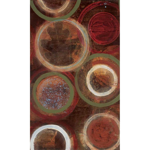 Natures Spheres I Black Modern Wood Framed Art Print with Double Matting by Bernsen, Leslie