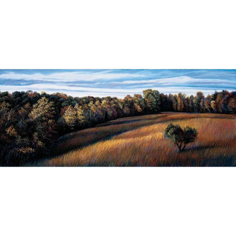 Maestro Black Modern Wood Framed Art Print by Crowder, Beth