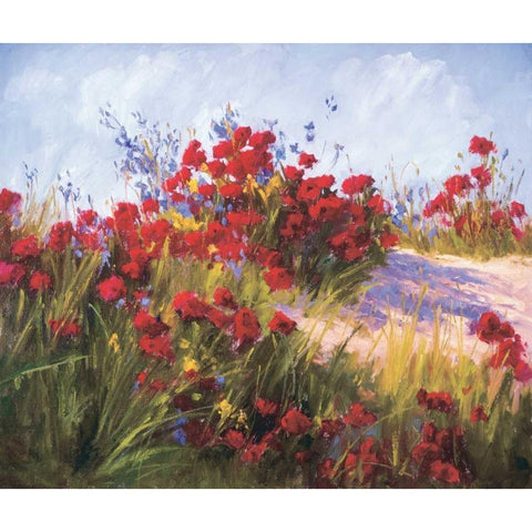 Red Poppies and Wild Flowers Black Modern Wood Framed Art Print with Double Matting by Curt, Brigitte