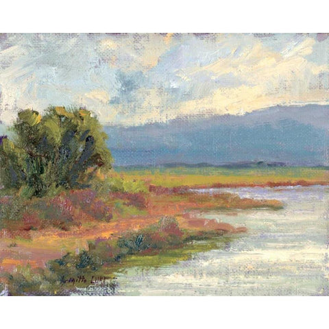 Jewels of the Wetlands Series One White Modern Wood Framed Art Print by Curt, Brigitte