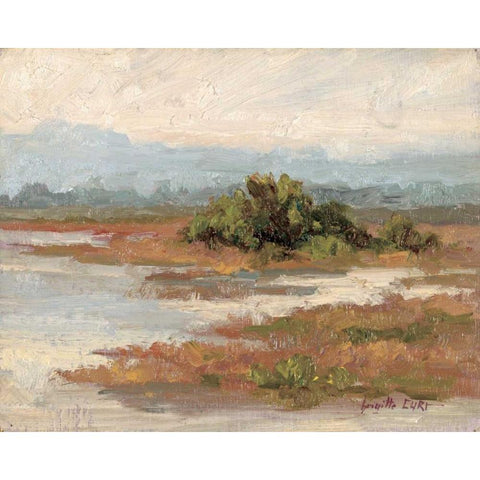 Jewels of the Wetlands Series One Black Modern Wood Framed Art Print by Curt, Brigitte