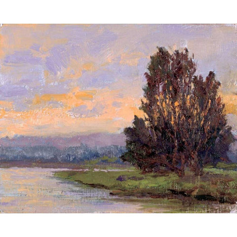 Jewels of the Wetlands Series One Black Modern Wood Framed Art Print by Curt, Brigitte