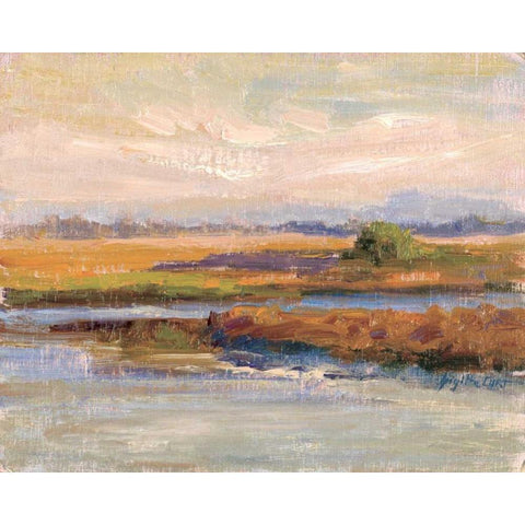 Jewels of the Wetlands Series One Black Modern Wood Framed Art Print by Curt, Brigitte