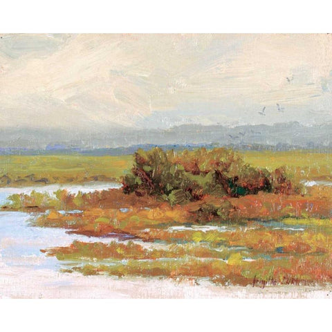 Jewels of the Wetlands Series One Gold Ornate Wood Framed Art Print with Double Matting by Curt, Brigitte