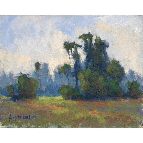 Rivages Series I Black Modern Wood Framed Art Print by Curt, Brigitte