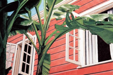 Tropical Breeze White Modern Wood Framed Art Print with Double Matting by Canning, John