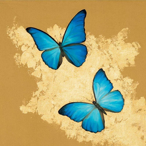 Cerulean Butterfly I White Modern Wood Framed Art Print with Double Matting by Charlotte, Joanna
