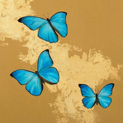 Cerulean Butterfly II Black Ornate Wood Framed Art Print with Double Matting by Charlotte, Joanna