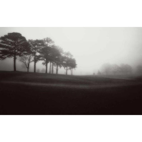 Fog Tree Study III Black Modern Wood Framed Art Print with Double Matting by Cook, Jamie