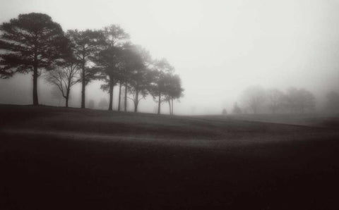 Fog Tree Study III White Modern Wood Framed Art Print with Double Matting by Cook, Jamie