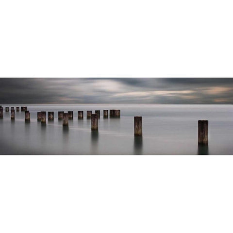In Dreams II Black Modern Wood Framed Art Print by Cook, Jamie