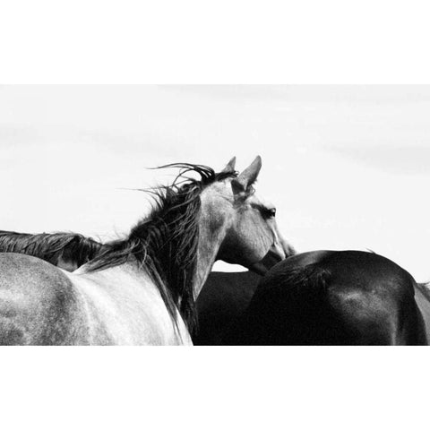 Wild Whispers I White Modern Wood Framed Art Print by Corpeny, Peggy