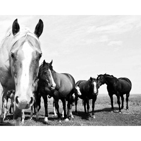 Wild Whispers I Gold Ornate Wood Framed Art Print with Double Matting by Corpeny, Peggy