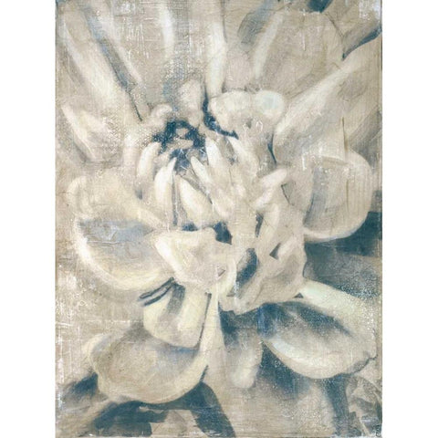 Glam II Black Modern Wood Framed Art Print with Double Matting by DAguiar, Stacy