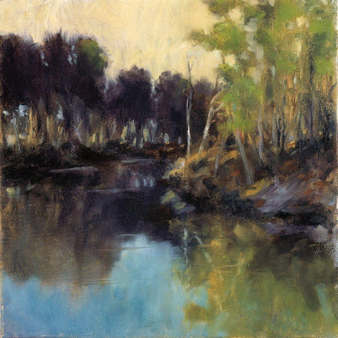 Quiet Settles In Black Modern Wood Framed Art Print with Double Matting by Ealley, Doug