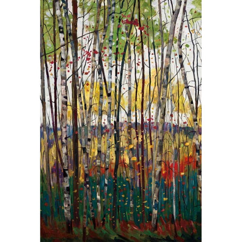 Voile De Montogne Black Modern Wood Framed Art Print by Forsythe, Graham